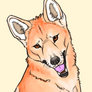 Dingo Animation Test 2