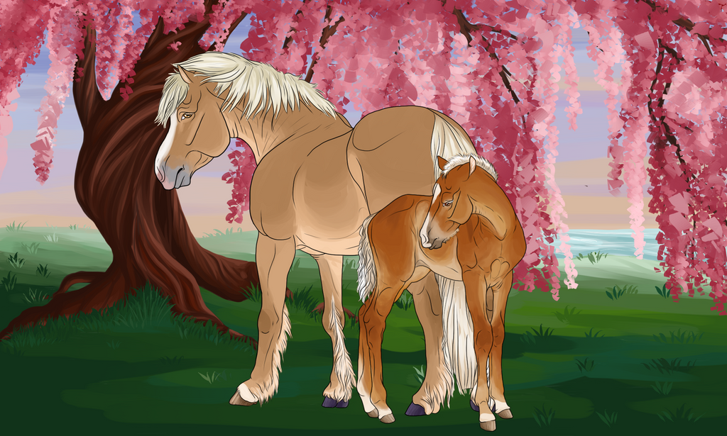 Cherry Blossom Foal Comm : Serelathe by Ascherri Cherry Blossom Foal Comm : Serelathe by Ascherri