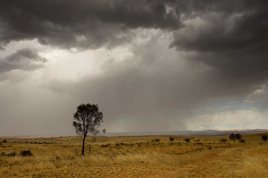 Summer Rain