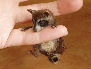 Raccoon MINIATURE SCULPTURE