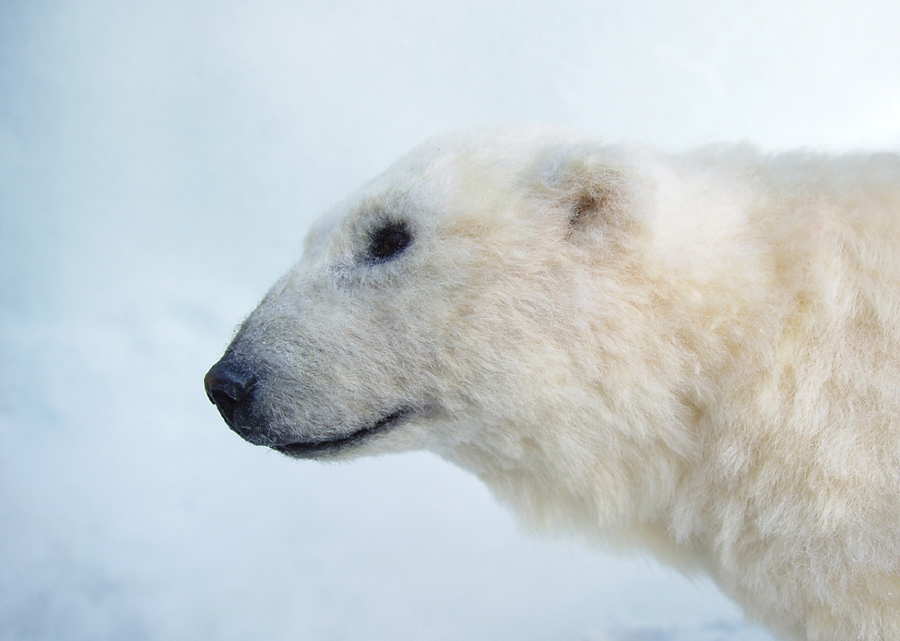 SCULPTURE Polar Bear close up