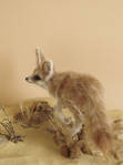 FURRED SCULPTURE - fennec fox by pixiwillow
