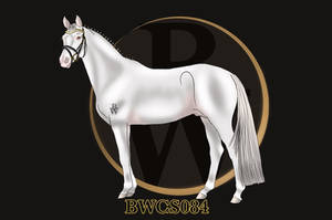 BWCS084