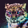 Rainbow Leopard