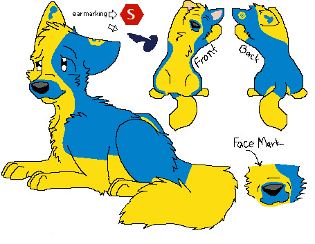 Dirch the blue/yellow wolf/dog mix.