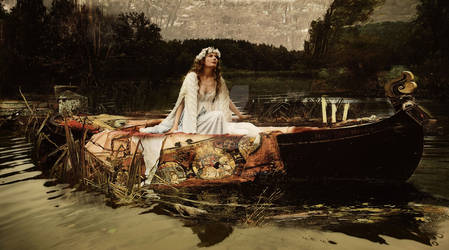 Lady of Shalott