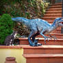 Blue Velociraptor Replica Statue by Marco Cavassa