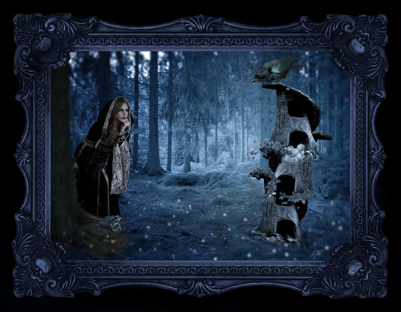 Framed Thief Resized by omgjojodear