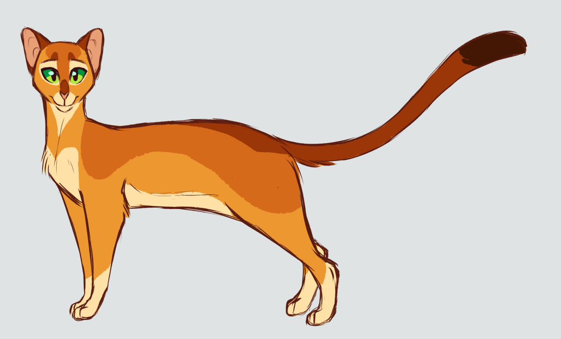 Firestar - Warrior Cats by SnexMy on DeviantArt