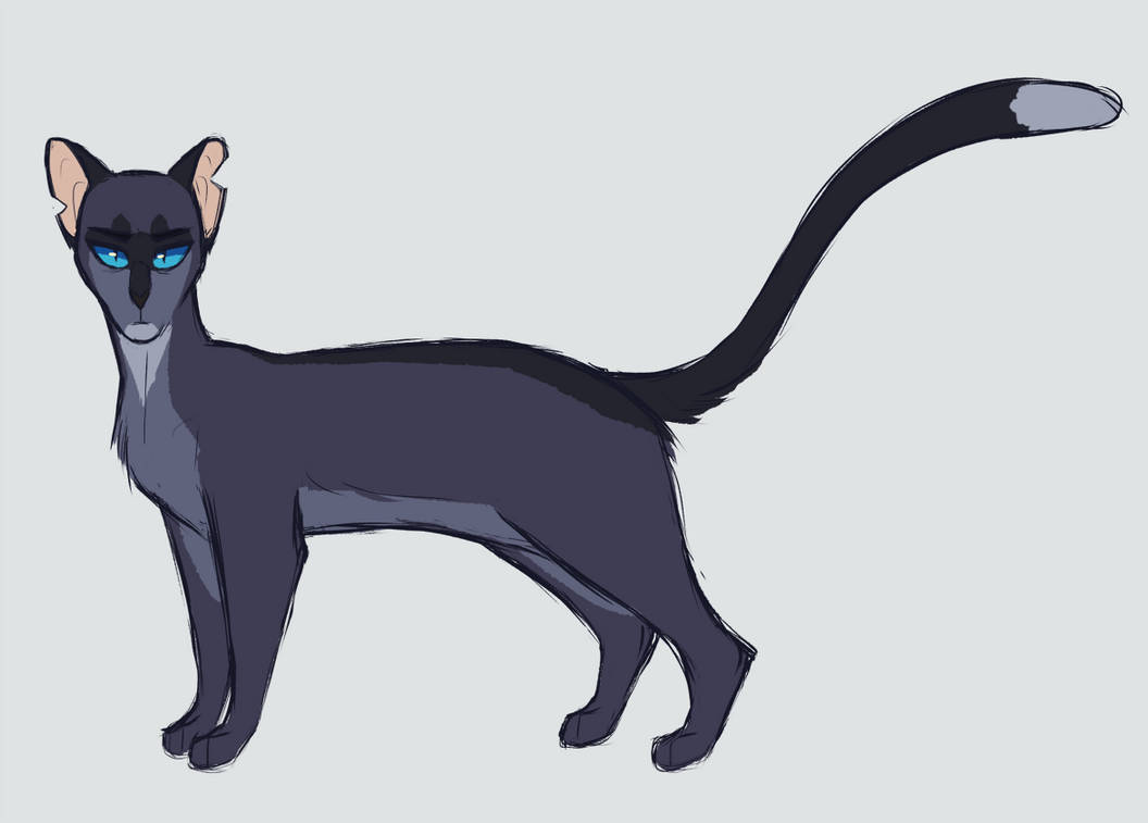 Stormtail Stormtail by Songsteps-Designs on DeviantArt