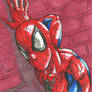 Spider-Man Sketch Card