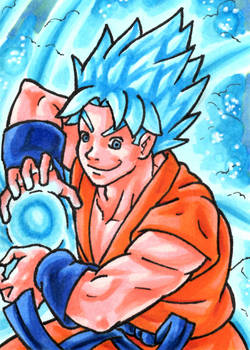 Super Saiyan Blue Goku