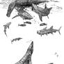 mosasaurus and sharks