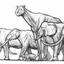 Elephant and giants