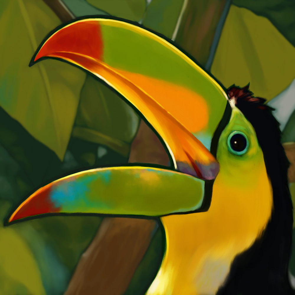 Toucan