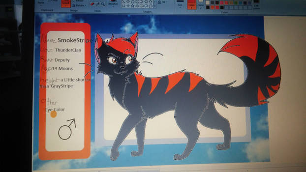 SmokeStripe ( ThunderClan )