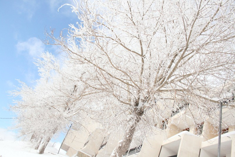 Lebanon Snow 2008-2