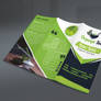 Organic Tea Tri-fold Brochure