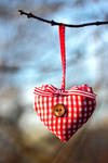 Heart by panna-cotta Heart by panna-cotta