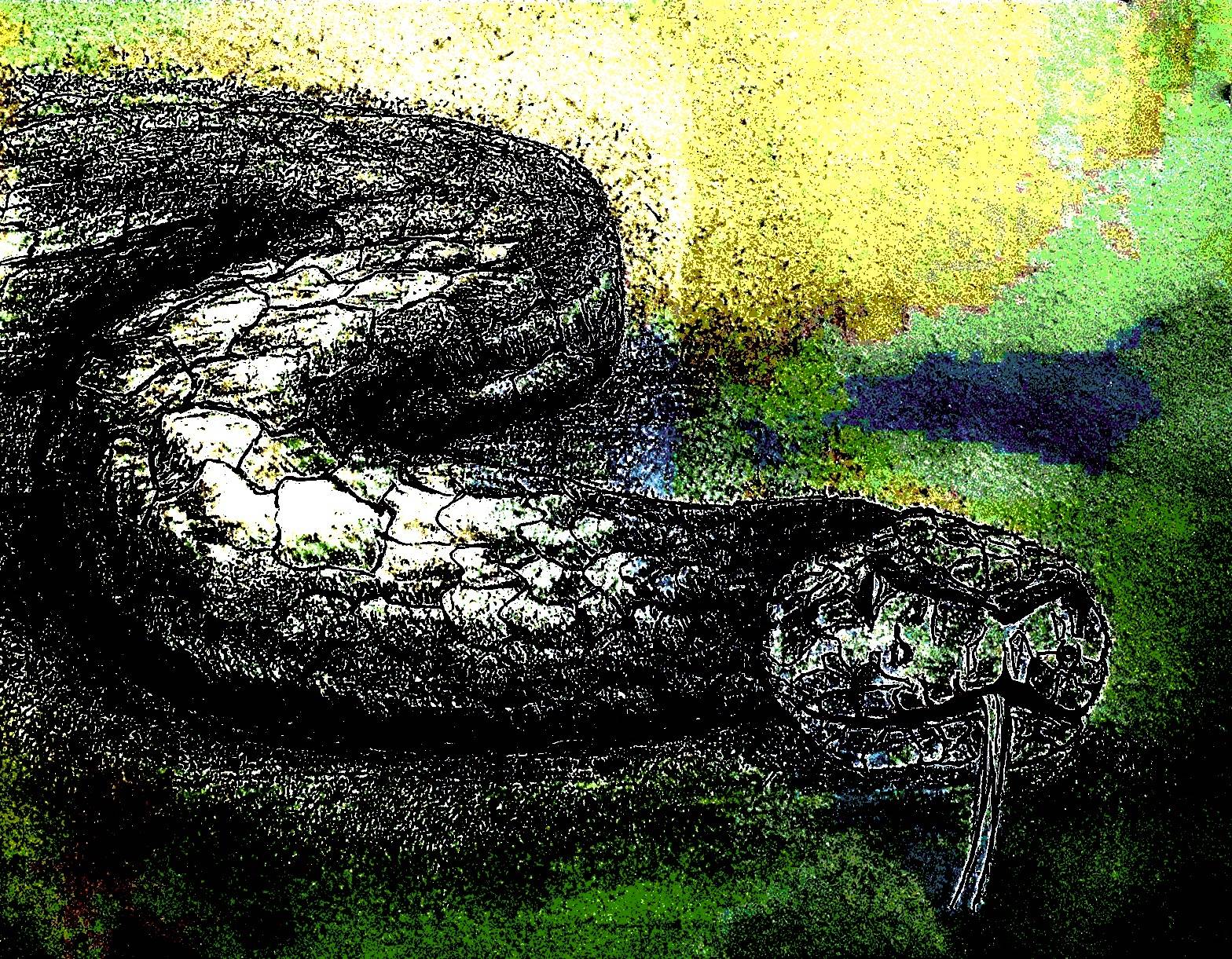 SPINELESS by anna-rexha on DeviantArt