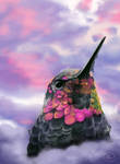 Hummingbird by shelaghcully