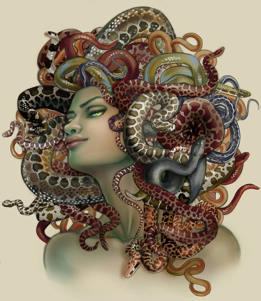 Commission: Medusa book cover, Constance Burris by CourtneyTrowbridge