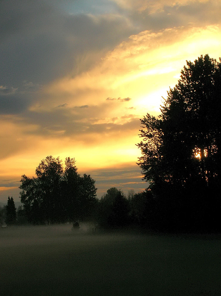 Ghostly Sunrise