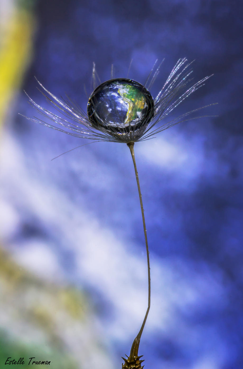 The Little Blue Planet