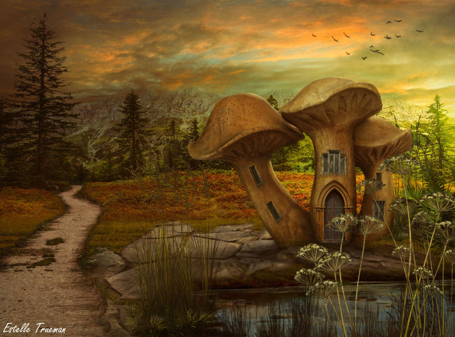 'Shroom To Let by needcaffine