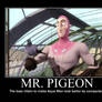 Mr. Pigeon