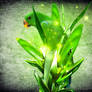 green parrote art