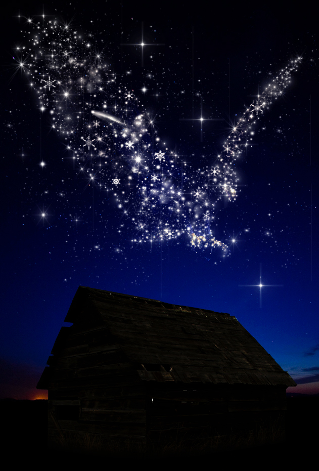 eagle in stars