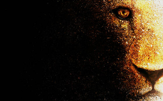 Lion wallpaper desktop