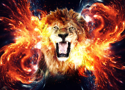 The lion head Energy Wallpaper