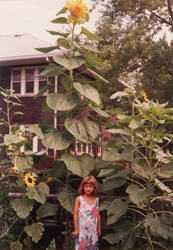 me+sunflowers