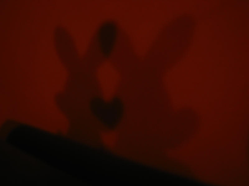 shadow of love