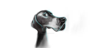 Dog digital painting