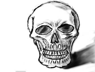 Skull