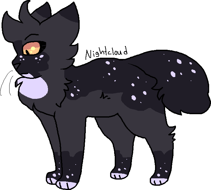 13 - Nightcloud by Phirlsich on DeviantArt