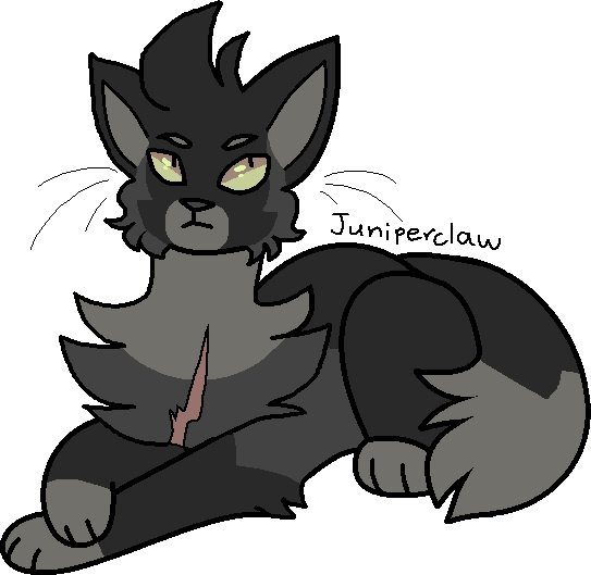 Juniperclaw 118 - Juniperclaw by Phirlsich on DeviantArt