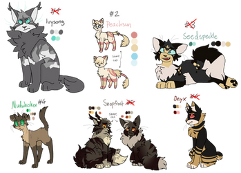 10Euro Adoptables (1/6 OPEN)