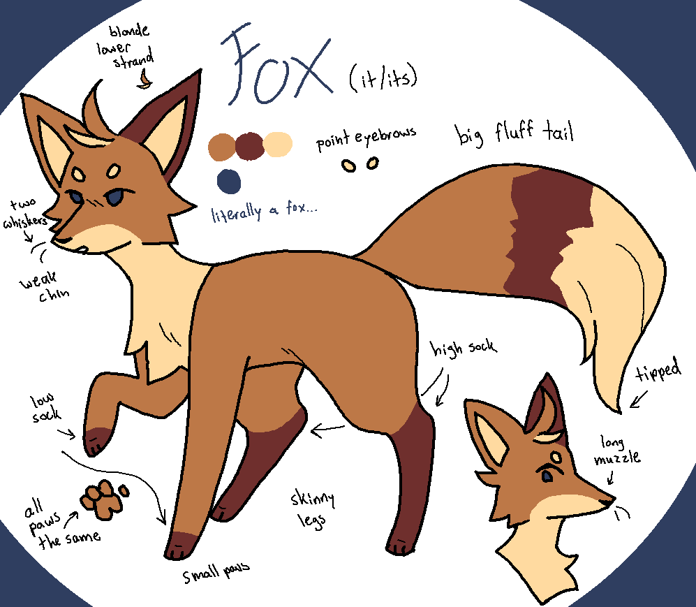 Rot Fox Reference Fox Reference by Phinanas on DeviantArt