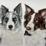 Double Dog Drawing!