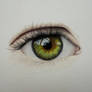 Green Eye With Coloured Pencils