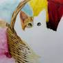 Work In Progress Cat In Basket!
