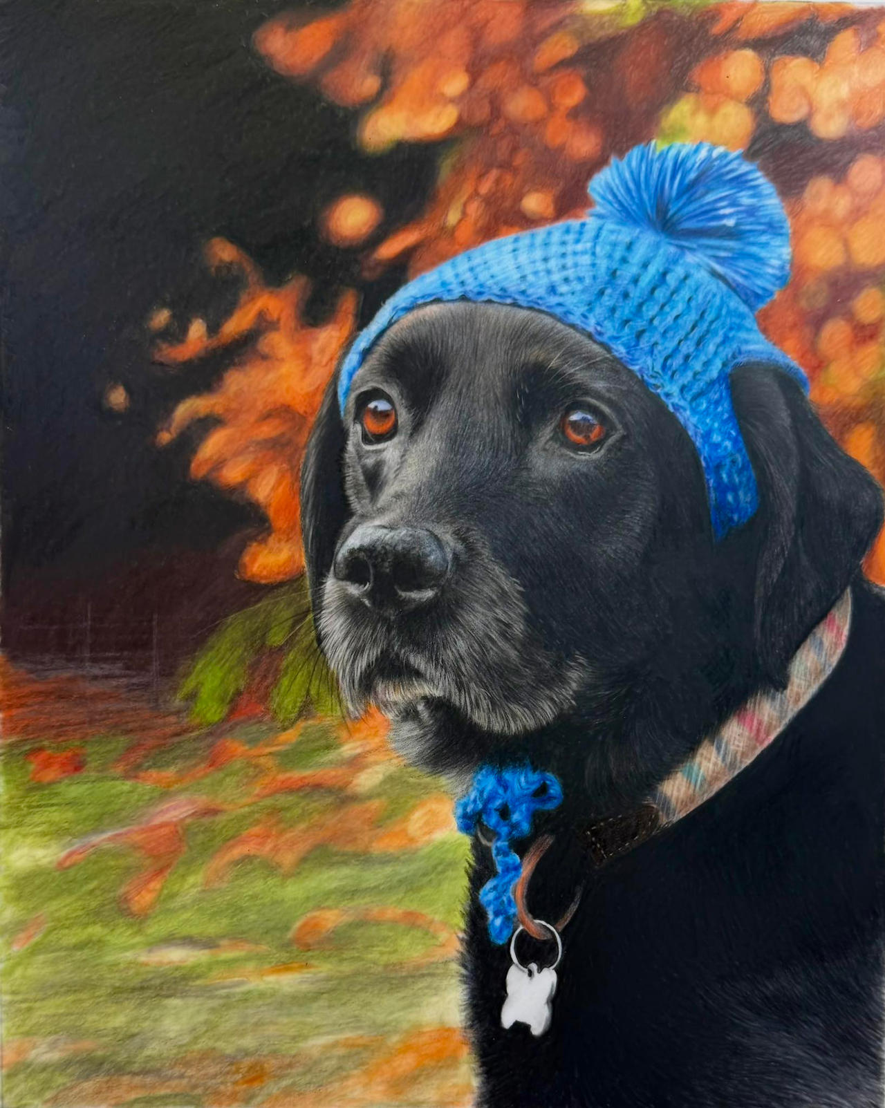 Black Lab Deviantart Black Lab In Blue Hat by BonnySnowdonAcademy on DeviantArt