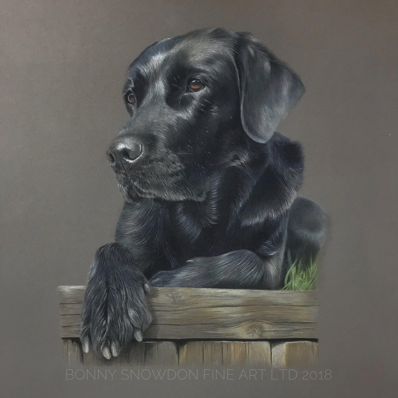 Black Lab Deviantart Black Lab by BonnySnowdonAcademy on DeviantArt
