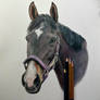 Midnight Horse
