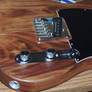 Walnut Telecaster Body