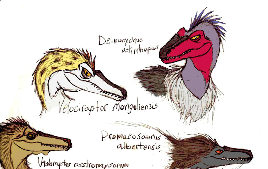 Raptor portraits by TheMorlock on DeviantArt